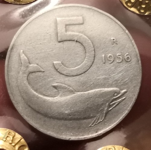 Moneta lire 1956 italia - 5,